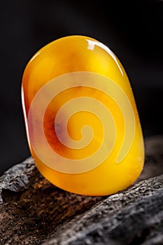 Natural amber. A piece of yellow opaque natural amber on large piece of dark stoned wood.