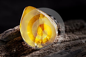 Natural amber. A piece of yellow opaque natural amber on large piece of dark stoned wood.