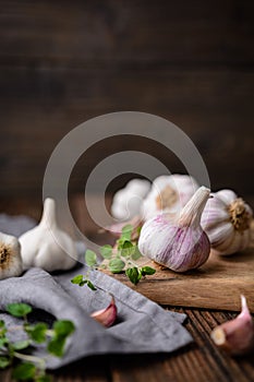 Natural antibiotic, fresh garlic bulbs with cloves on wooden background with copy space