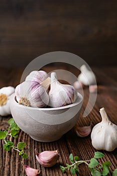 Natural antibiotic, fresh garlic bulbs with cloves on wooden background with copy space