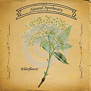 Natural Apothecary Elderflower photo
