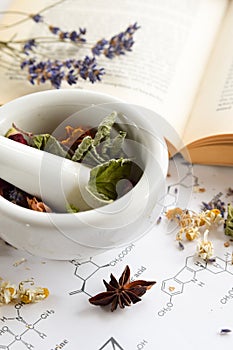 Natural apothecary with herbs and book photo