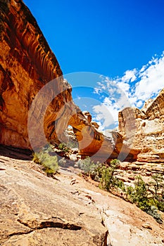 Natural Arch, Hickman Bridge, Capitol Reef National Park, Utah,