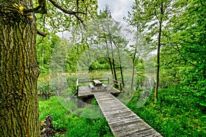 Natural area wetlands near Kristyna in Hradek nad Nisou