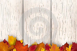 Natural Autumn background design. Autumn leaf fall, autumnal falling leaves on white wooden background. Vector autumnal