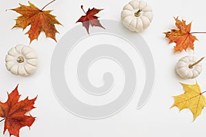 Natural autumn decorative frame. Little white pumpkins, colorful red, orange maple fall leaves isolated on white table