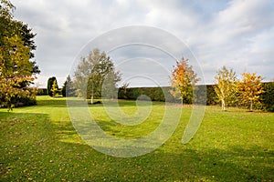 Natural autumn landscaping