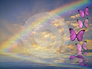 Natural background with butterflies flying and rainbow in sea reflection