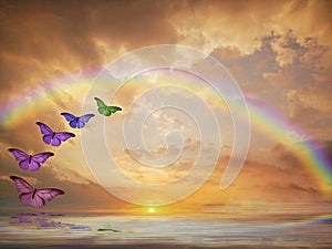 Natural background with butterflies flying and rainbow in sea reflection