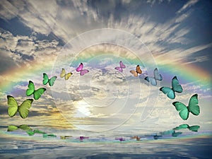 Natural background with butterflies flying and rainbow in sea reflection