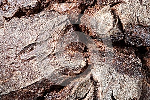 Natural background from a close-up of a crust of rye bread. Selective focus. Space for lettering and design