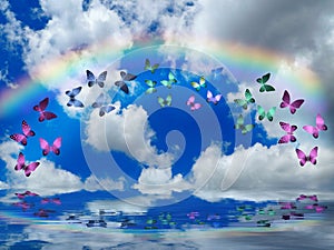 Natural background with colorful butterflies flying with rainbow in sea reflection hith