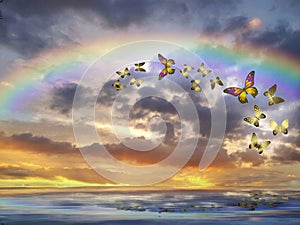 Natural background with colorful butterflies flying with rainbow in sea reflection hith