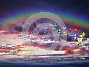 Natural background with colorful butterflies flying with rainbow in sea reflection hith