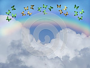 Natural background with colorful butterflies flying with rainbow in sea reflection hith