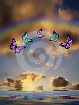 Natural background with colorful butterflies flying with rainbow in sea reflection hith