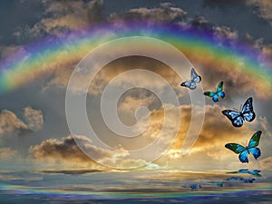 Natural background with colorful butterflies flying with rainbow in sea reflection hith