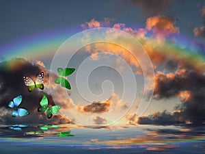 Natural background with colorful butterflies flying with rainbow in sea reflection hith