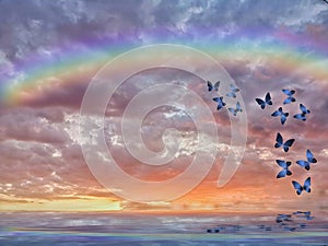 Natural background with colorful butterflies flying with rainbow in sea reflection hith