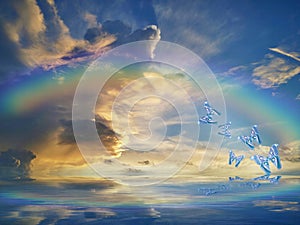 Natural background with colorful butterflies flying with rainbow in sea reflection hith