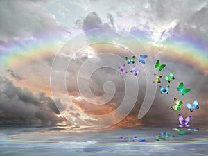 Natural background with colorful butterflies flying with rainbow in sea reflection hith