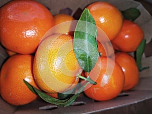 Natural background with ecologic citrus fruits at home in color image