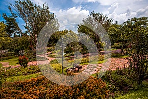 Natural background of flower beds in the garden photo