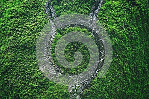 Natural background green moss on rock with cracks forming magical mystical symbol circle, sign of mercury. Round frame with copy