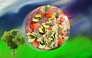 Image of earth and a planet and nature.