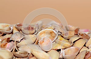 Natural background of pistachio shell or sea beach with shells concept of environmental protection and sorting garbage with select