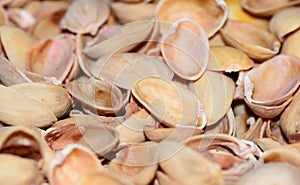 Natural background of pistachio shell or sea beach with shells concept of environmental protection and sorting garbage with select