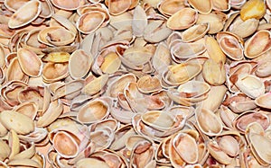 Natural background of pistachio shell or sea beach with shells concept of environmental protection and sorting garbage with select