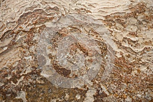 Natural background of porous travertine beige stone texture