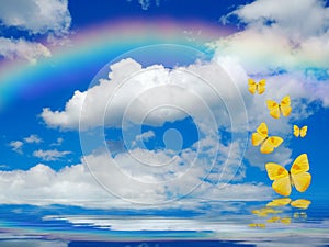 Natural background with rainbow in sea reflection photo