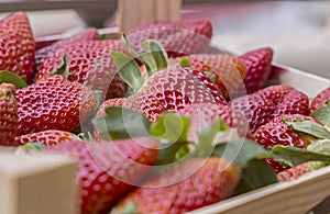 Natural background of red strawberries on the table ready to eat photo