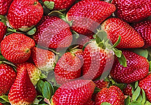 Natural background of red strawberries on the table ready to eat photo