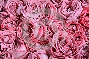 Natural background of rose petals photo
