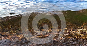 Natural background with sea wave and colorful round sea pebble stones under water.