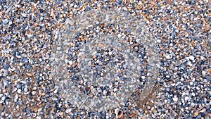 Natural background with small shells on sand on sea beach, closeup view.