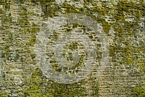 Natural background of the stone wall. Rustic texture, the sprout