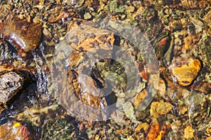 Natural background, the stones at the bottom of the creek
