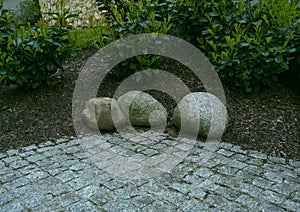 Natural background, stones, shrubs with free copy space for text.