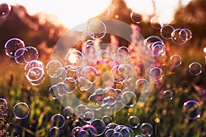 Natural background with summer clear green meadow with pink flowers and soap bubbles brightly shimmer and fly in the air at