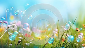 Natural background with summer green meadow and soap bubbles