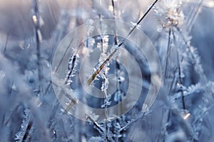 natural background with transparent ice crystals and frost shining and shimmering in the morning sun strung like beads