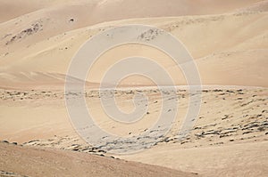 Natural background â€” dunes of the desert