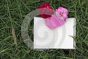 Natural backgrounds and books for sayings with roses, hearts, red ribbons, Valentine`s Day concepts