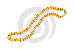 Natural Baltic Amber chain on white background