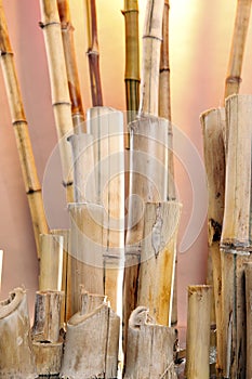 Natural bamboo