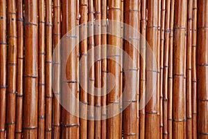 Natural bamboo background